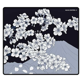  Bàn di chuột X-Raypad Aqua Control II 