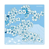  Bàn di chuột X-Raypad Aqua Control II 