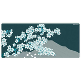  Bàn di chuột X-Raypad Aqua Control II 