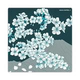  Bàn di chuột X-Raypad Aqua Control II 