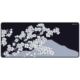  Bàn di chuột X-Raypad Aqua Control II 