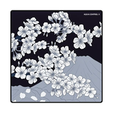  Bàn di chuột X-Raypad Aqua Control II 