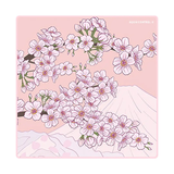  Bàn di chuột X-Raypad Aqua Control II 