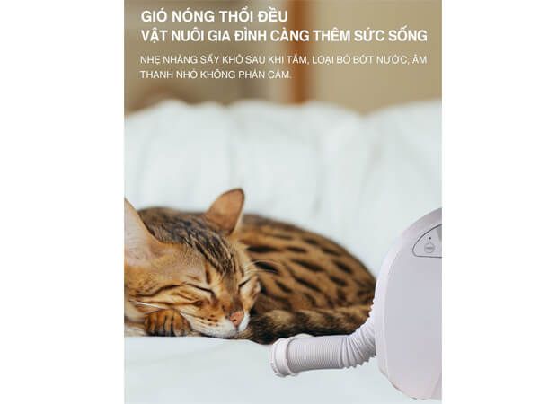Máy sấy giày, sấy Chăn Ga gối, sấy lông thú cưng Tiross TS8830, 700W