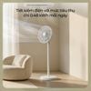 Quạt cây đứng giá rẻ Deerma DEM-FD13W, 20 cánh kép