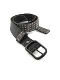  23'Leather Belt / Studded 