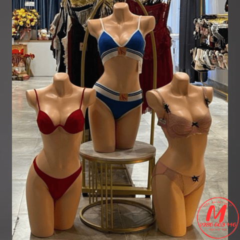  Bán Thân Manocanh Nữ Trưng Bày Áo Ngực – Mẫu Chuẩn Dáng, Giá Sỉ Tại TP.HCM 