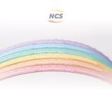  Vợt cầu lông Redson Beta-2000 