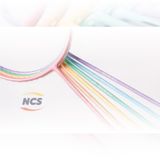  Vợt cầu lông Redson Beta-2000 