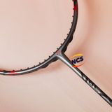  Vợt cầu lông Yonex Arcsaber 11 Pro 