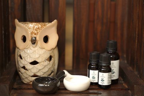  Đèn xông cú mèo 