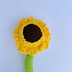 Cây Nhảy Múa Hình Hoa Hướng Dương