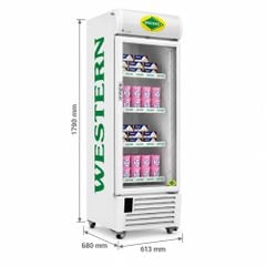 Tủ đông trưng bày 1 cánh kính Hoshizaki SRF350HC-XGLI