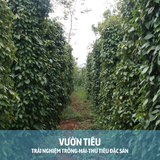  DU LỊCH PHÚ QUỐC - CA NÔ THAM QUAN ĐẢO - LẶN NGẮM SAN HÔ - SUNSET SANATO 