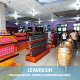  DU LỊCH PHÚ QUỐC - CA NÔ THAM QUAN ĐẢO - LẶN NGẮM SAN HÔ - SUNSET SANATO 