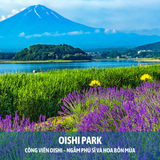  NHẬT BẢN OSAKA - KYOTO - PHÚ SĨ - KYOTO - NARITA | 5 NGÀY 5 ĐÊM 