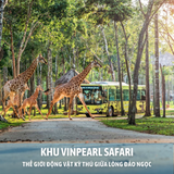  DU LỊCH PHÚ QUỐC - CA NÔ THAM QUAN ĐẢO - LẶN NGẮM SAN HÔ - SUNSET SANATO 