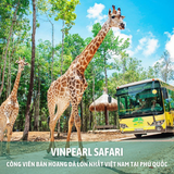  DU LỊCH TẠI PHÚ QUỐC - CÁP TREO HÒN THƠM - TẶNG VÉ BUFFET TRƯA 