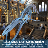  TOUR DU LỊCH ANH – SCOTLAND – XỨ WALES| 10 NGÀY 9 ĐÊM 