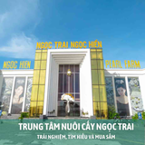  DU LỊCH TẠI PHÚ QUỐC - CÁP TREO HÒN THƠM - TẶNG VÉ BUFFET TRƯA 