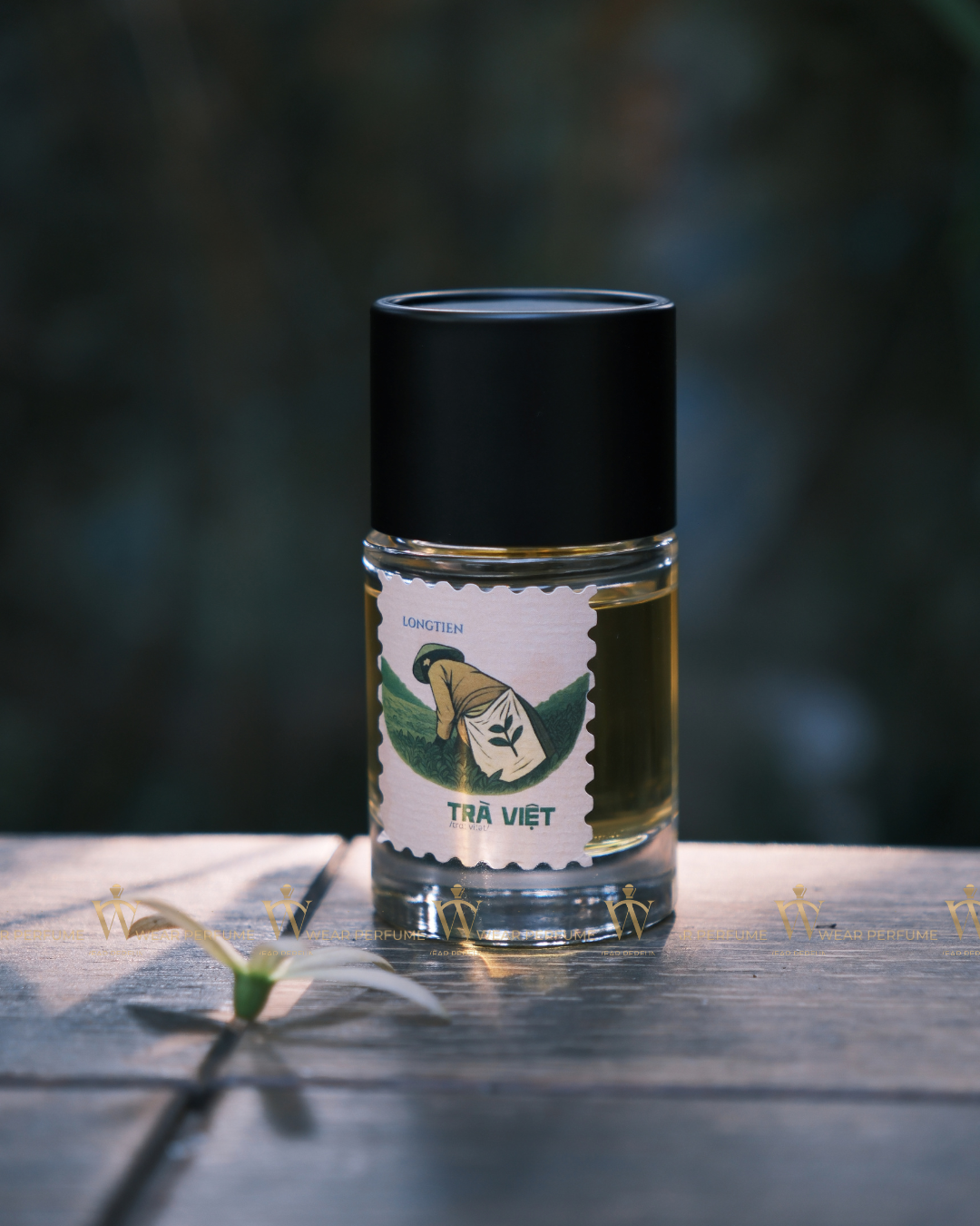  LONGTIEN Trà Việt 