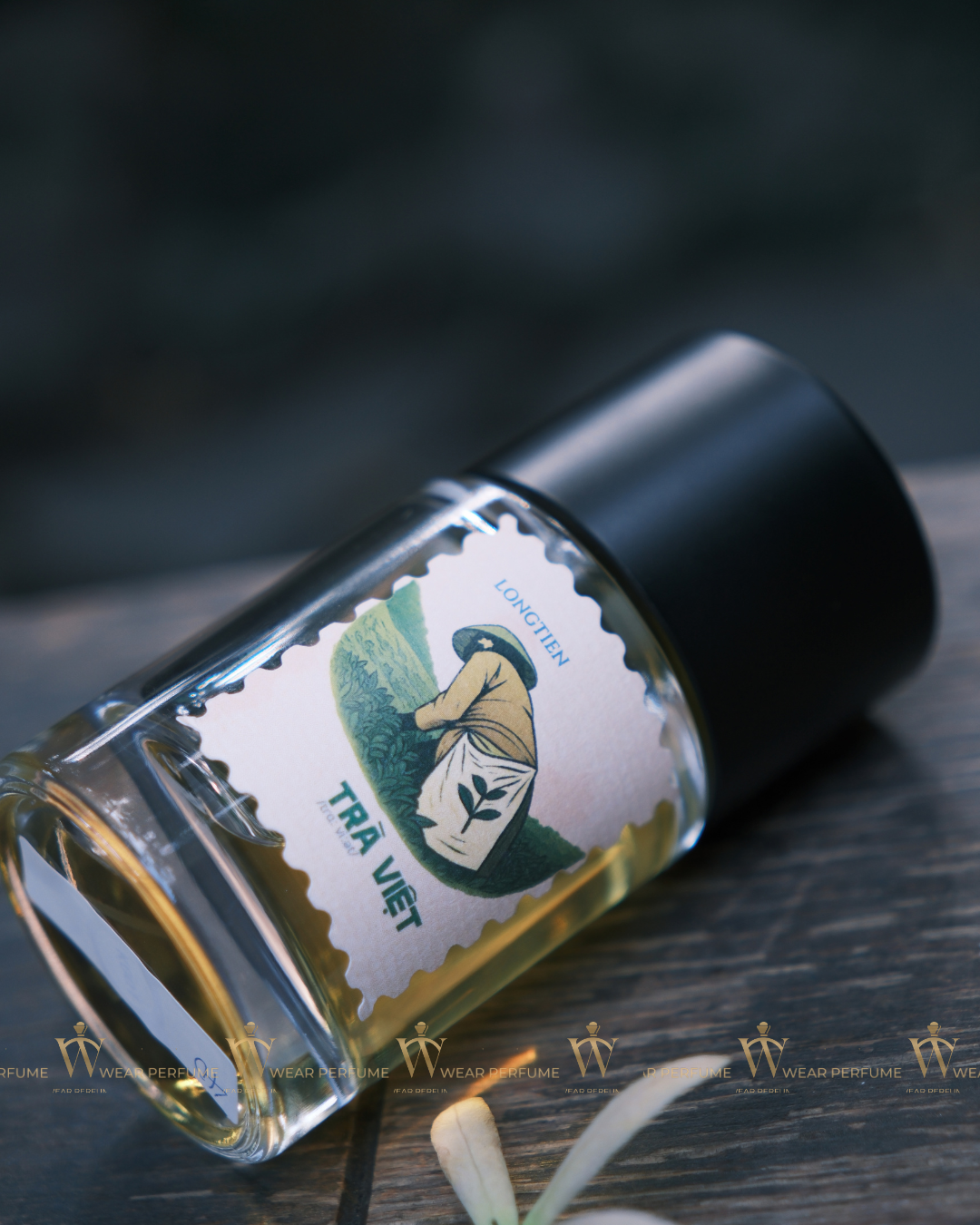 LONGTIEN Trà Việt 