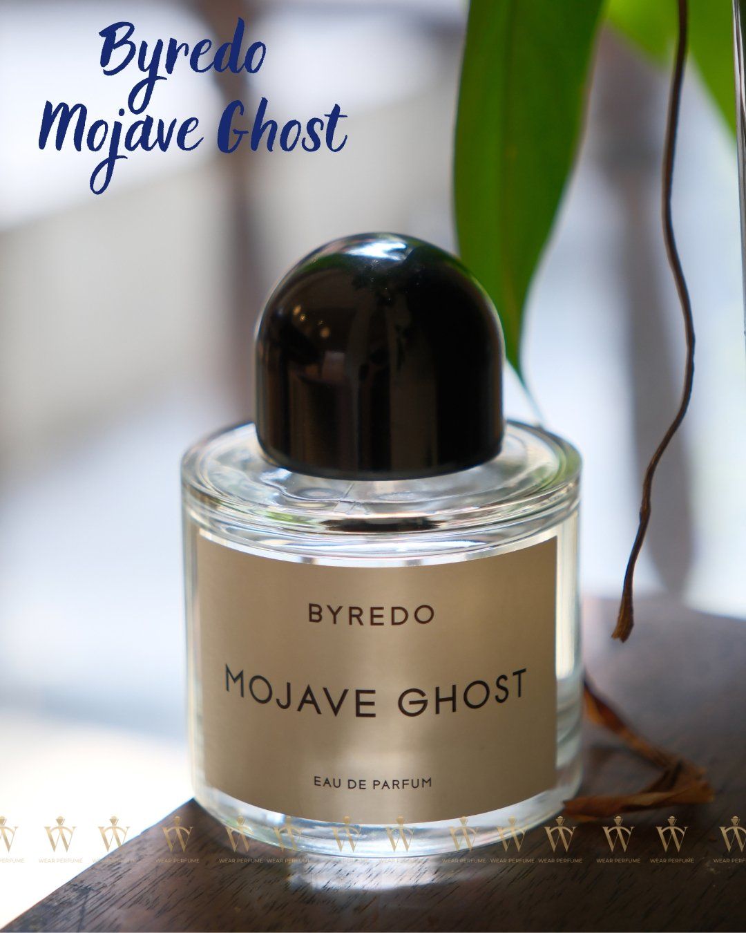  Byredo Mojave Ghost EDP 