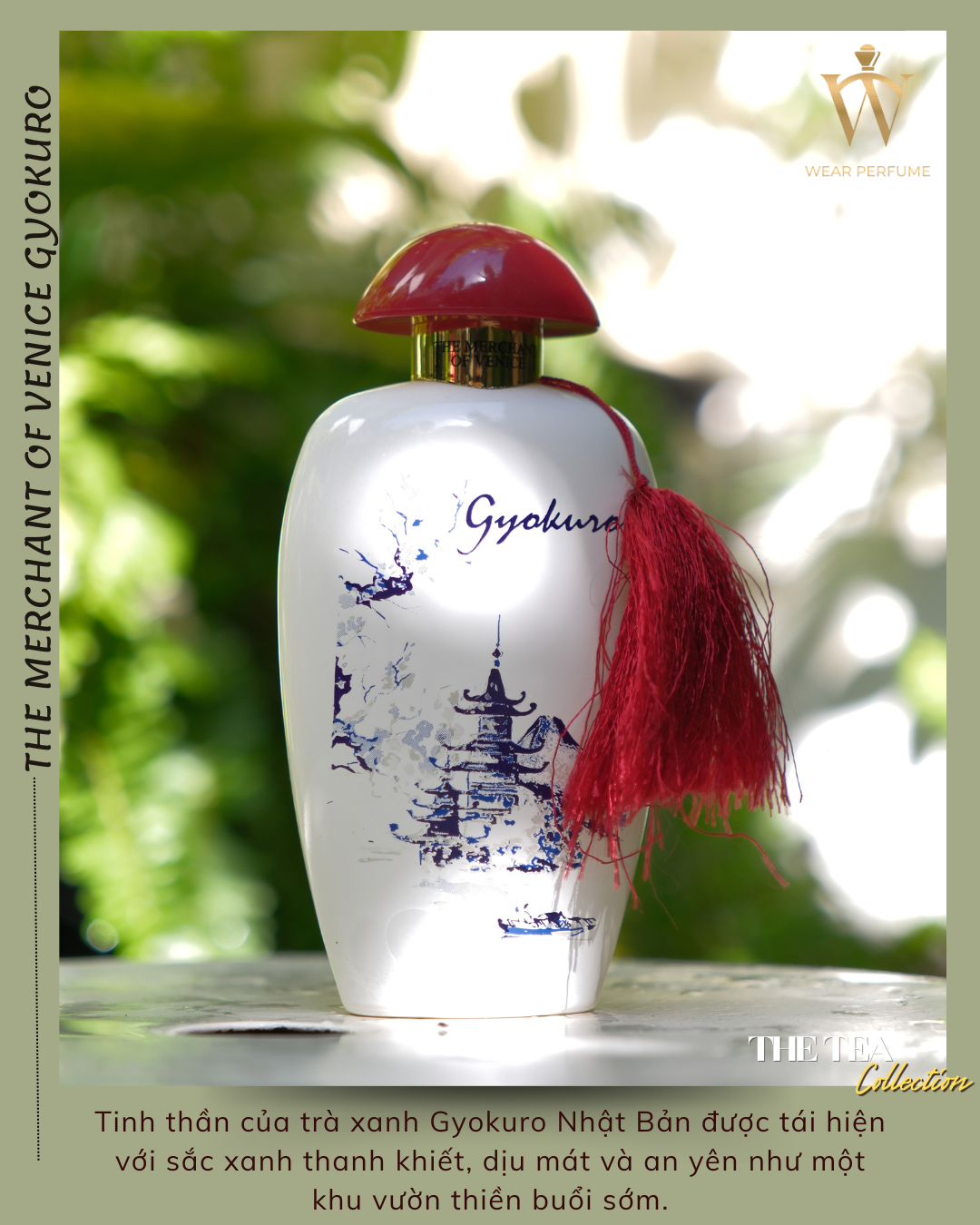  The Merchant of Venice Gyokuro 