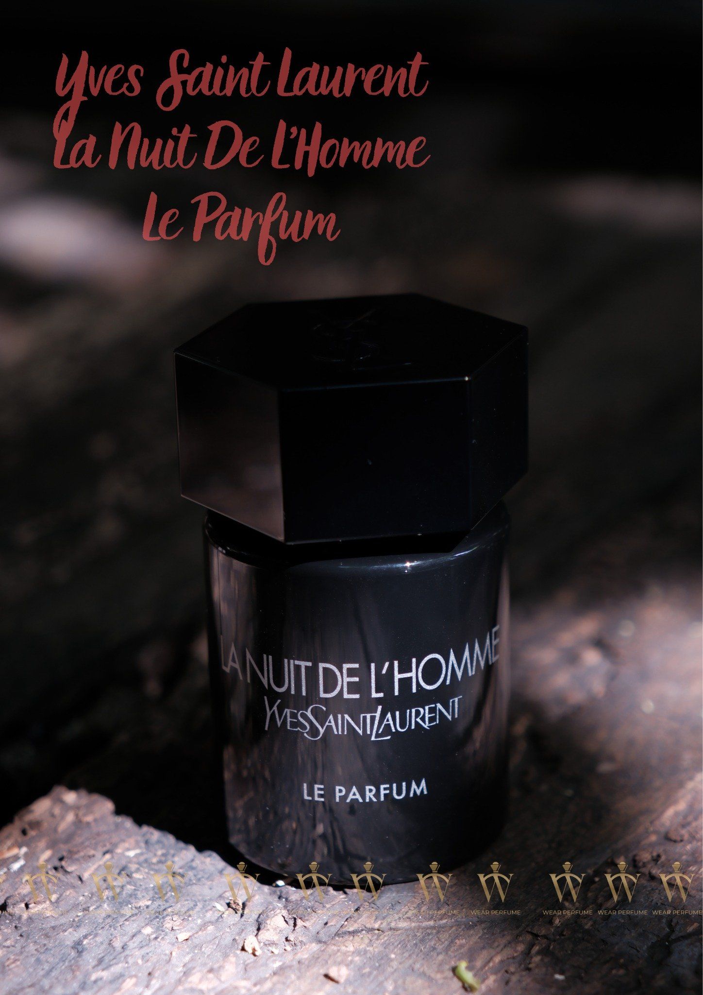  Yves Saint Laurent La Nuit de L’Homme Le Parfum 