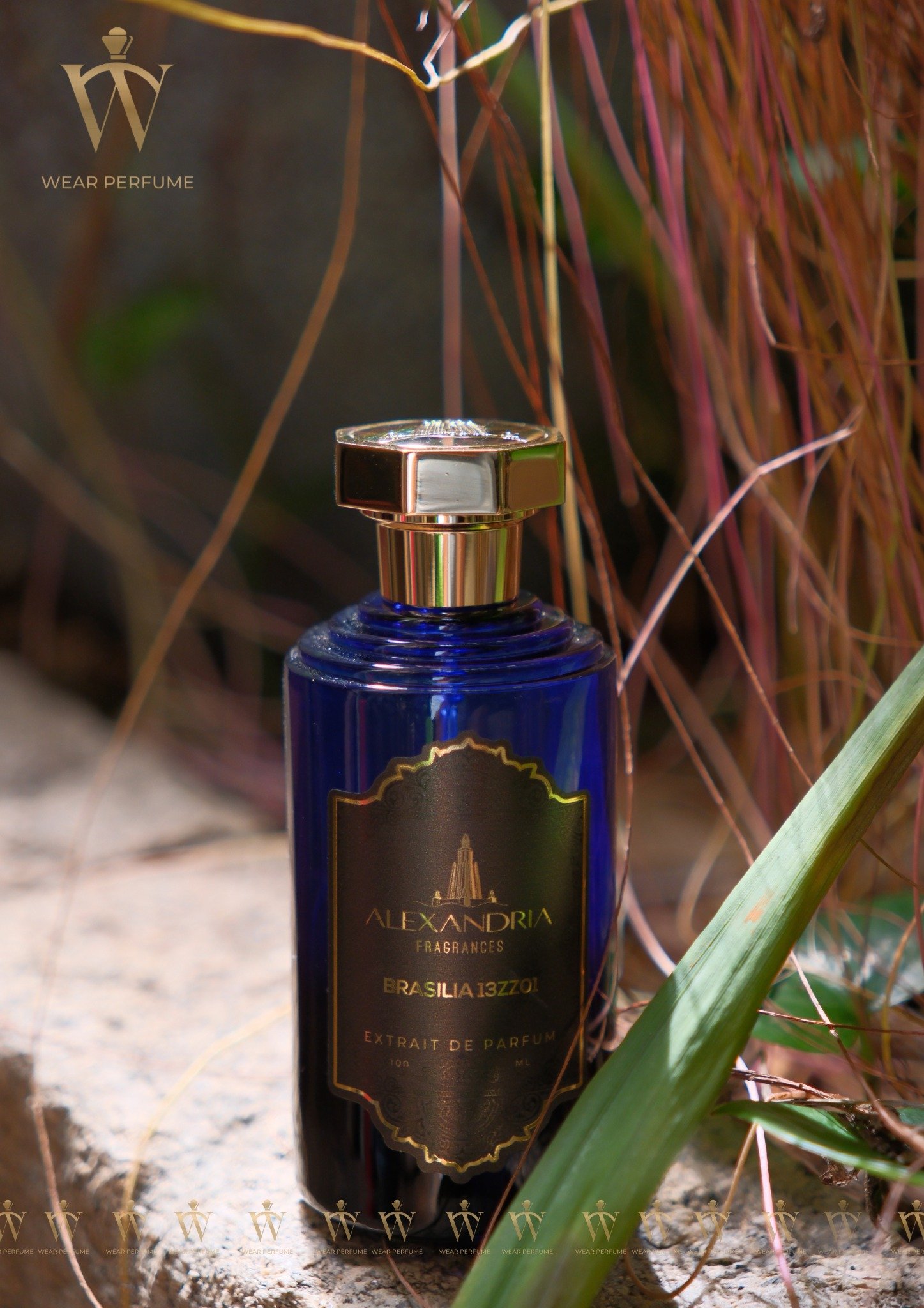 香水(男性用) ALEXANDRIA FRAGRANCES BRASILIA 13ZZ01 Nước Hoa Unisex Alexandria Fragrances Brasilia 13zz01