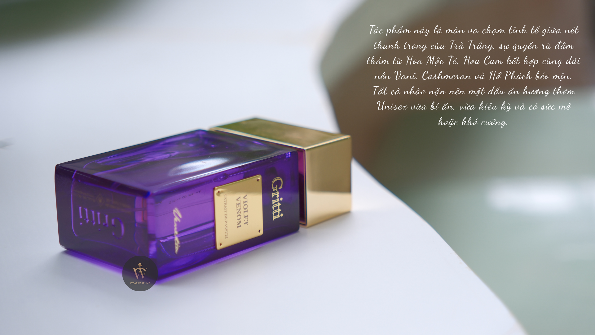  Gritti Violet Venom Extrait de Parfum 