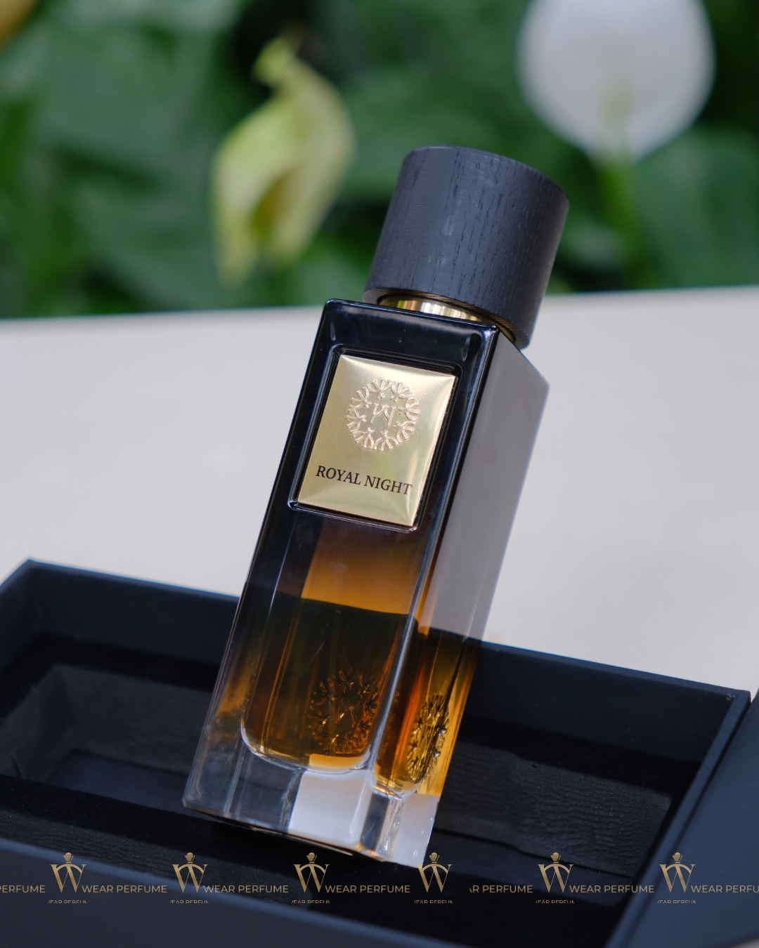  The Woods Collection Royal Night 