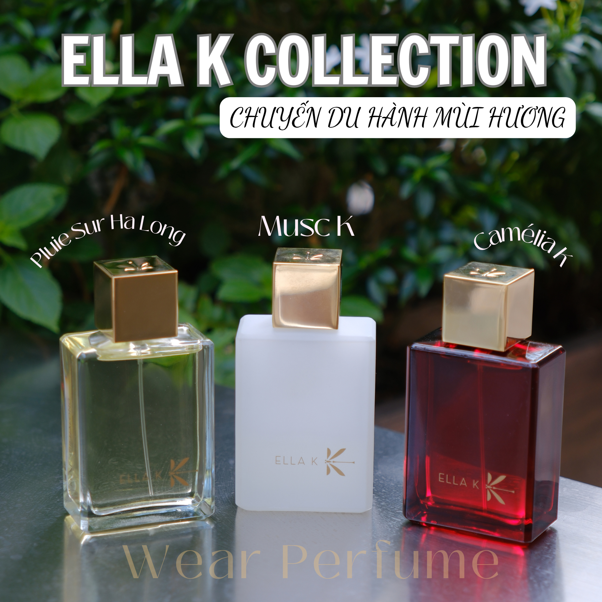  Ella K Camélia K EDP 
