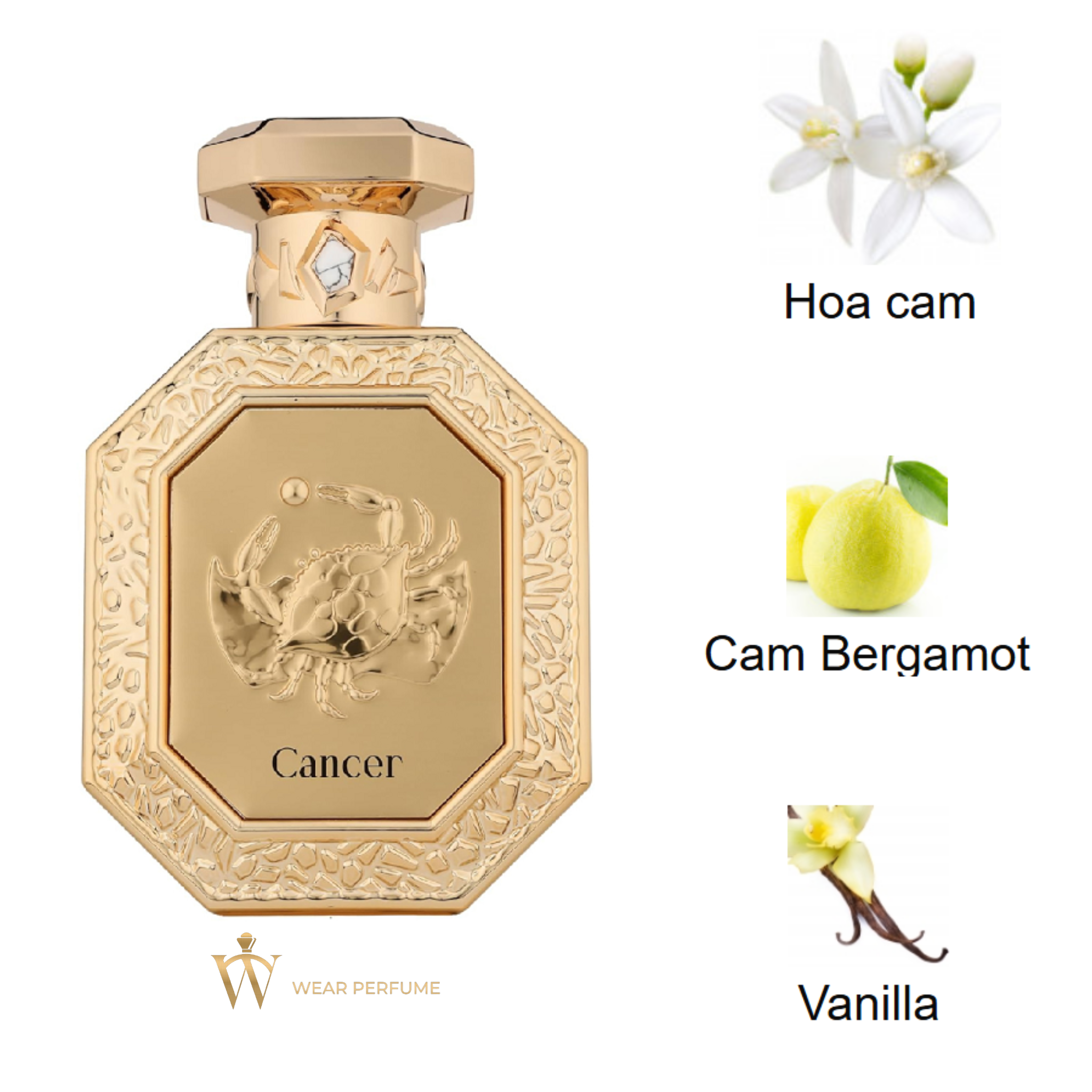  French Avenue Cancer EDP (Cung Cự Giải) 