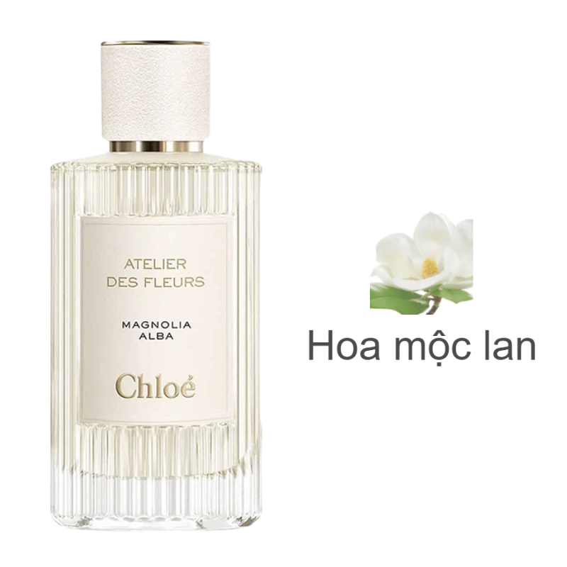 Chloe Atelier Des Fleurs Magnolia Alba 