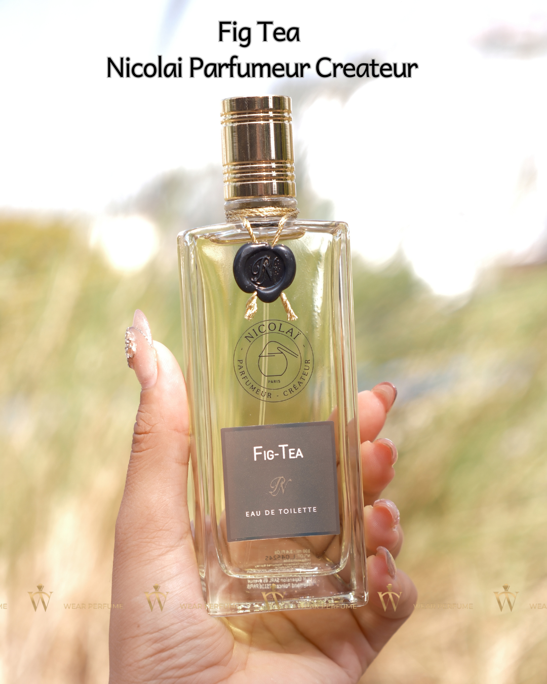  Fig Tea Nicolai Parfumeur Createur 