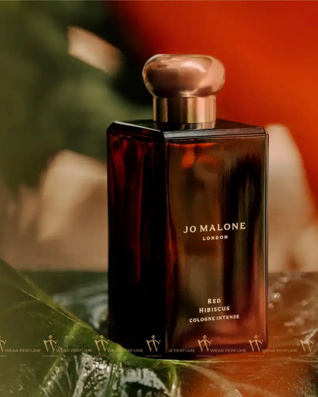  Jo Malone London Red Hibiscus 