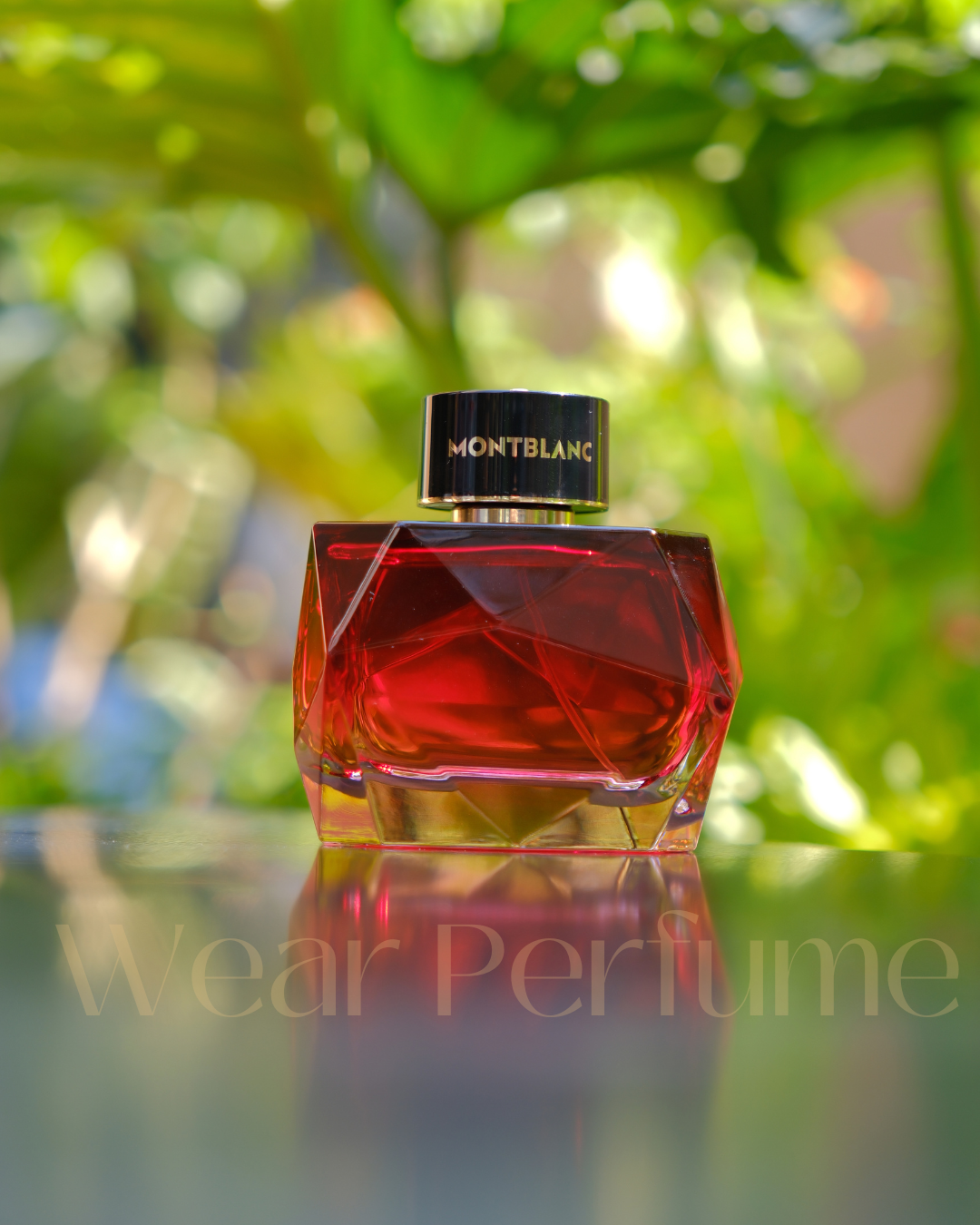  Montblanc Signature Elixir (2025) Parfum 
