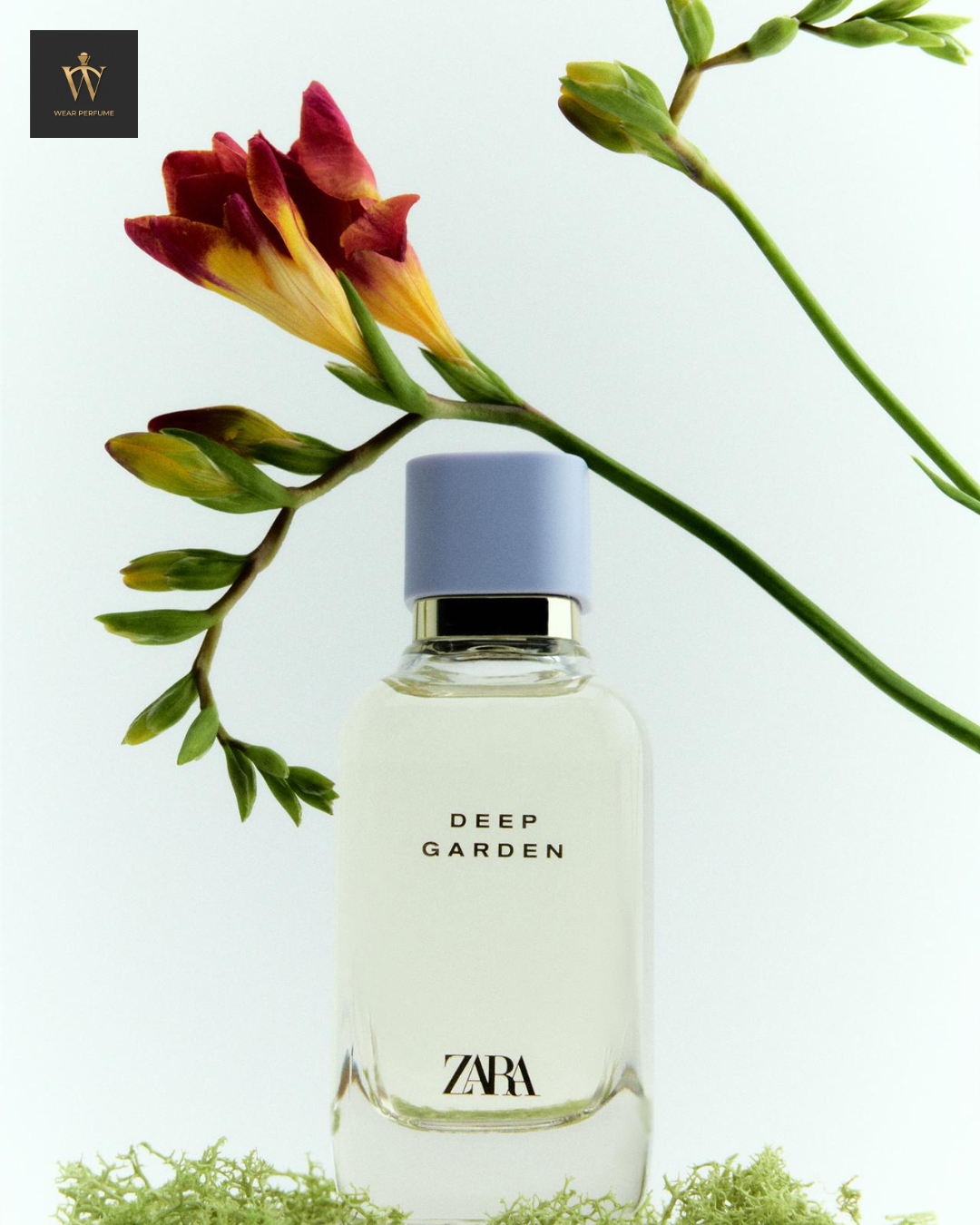  Zara Deep Garden EDP 