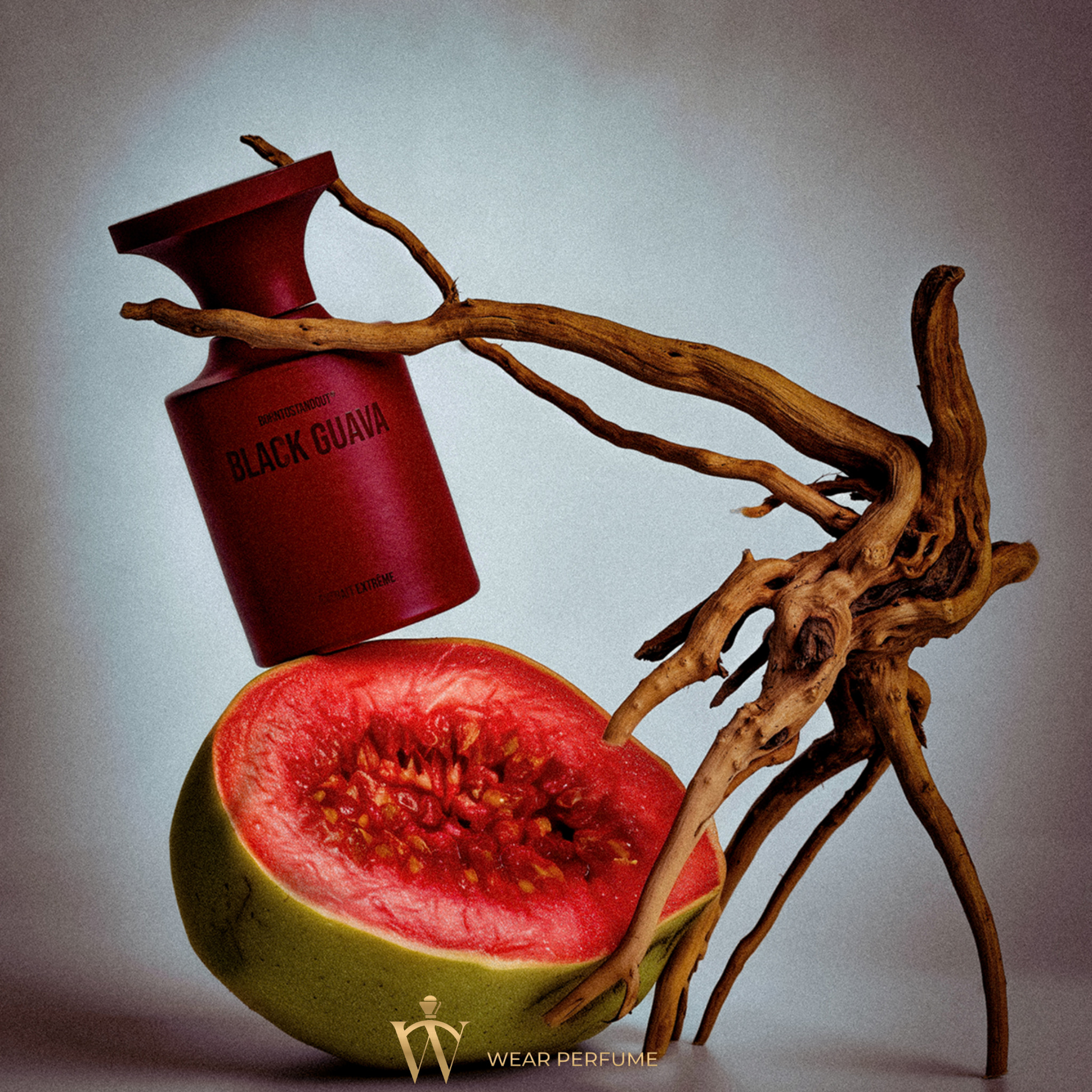  Borntostandout BTSO Black Guava Extrait Extreme 