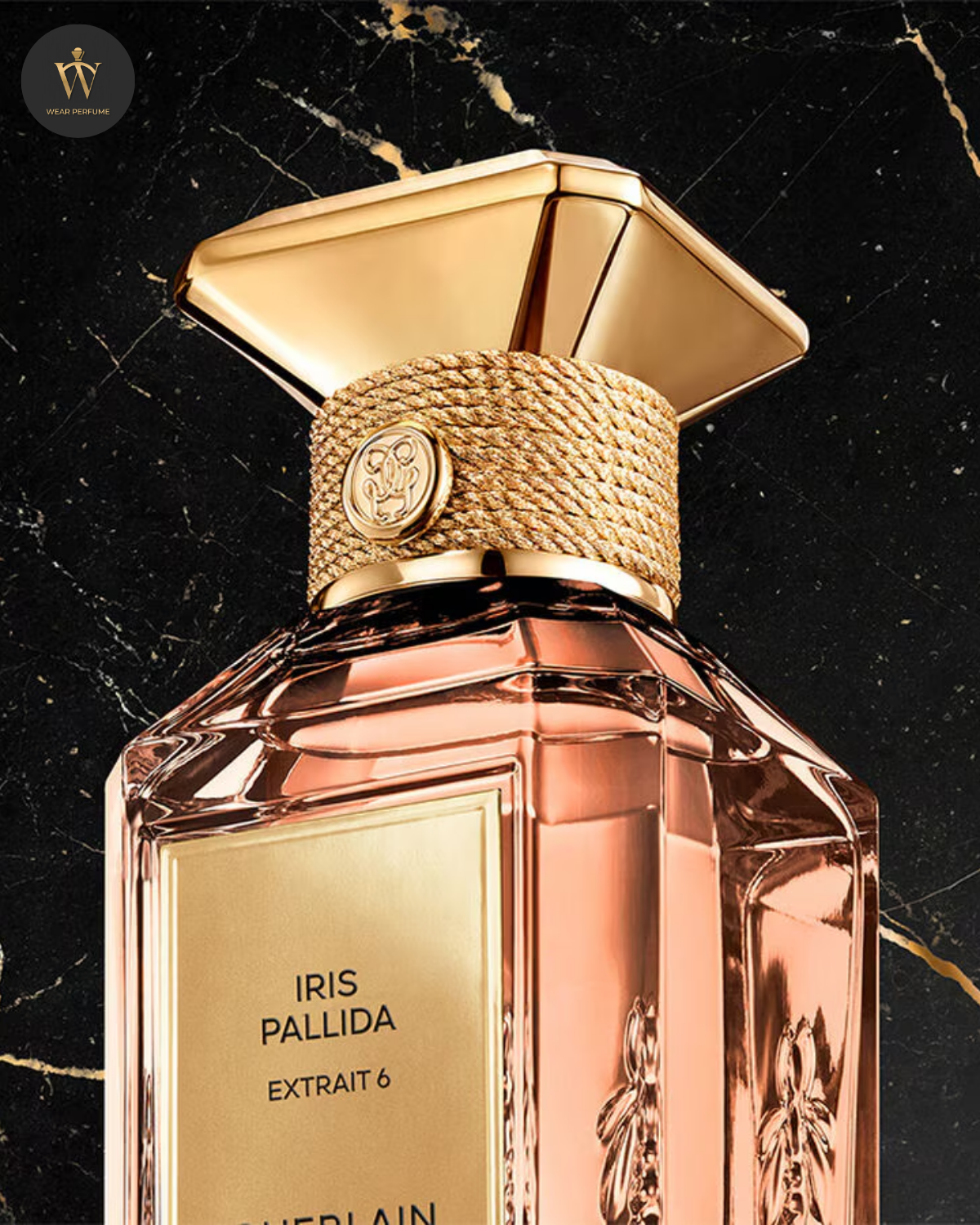  Iris Pallida Extrait 6 Guerlain 