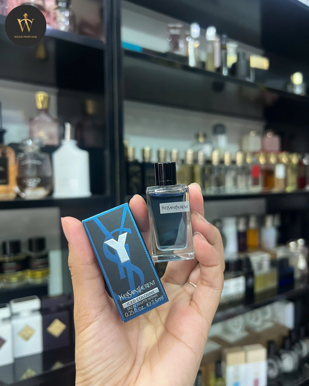  Yves Saint Laurent YSL Iced Cologne EDT Intense 7.5ml 