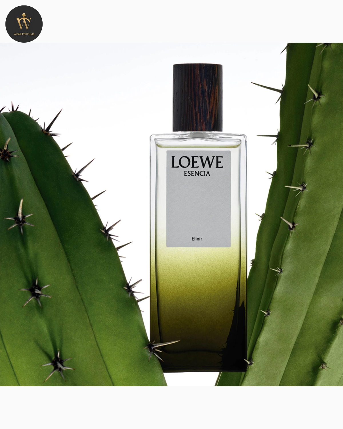  Loewe Esencia Elixir Pour Homme EDP 