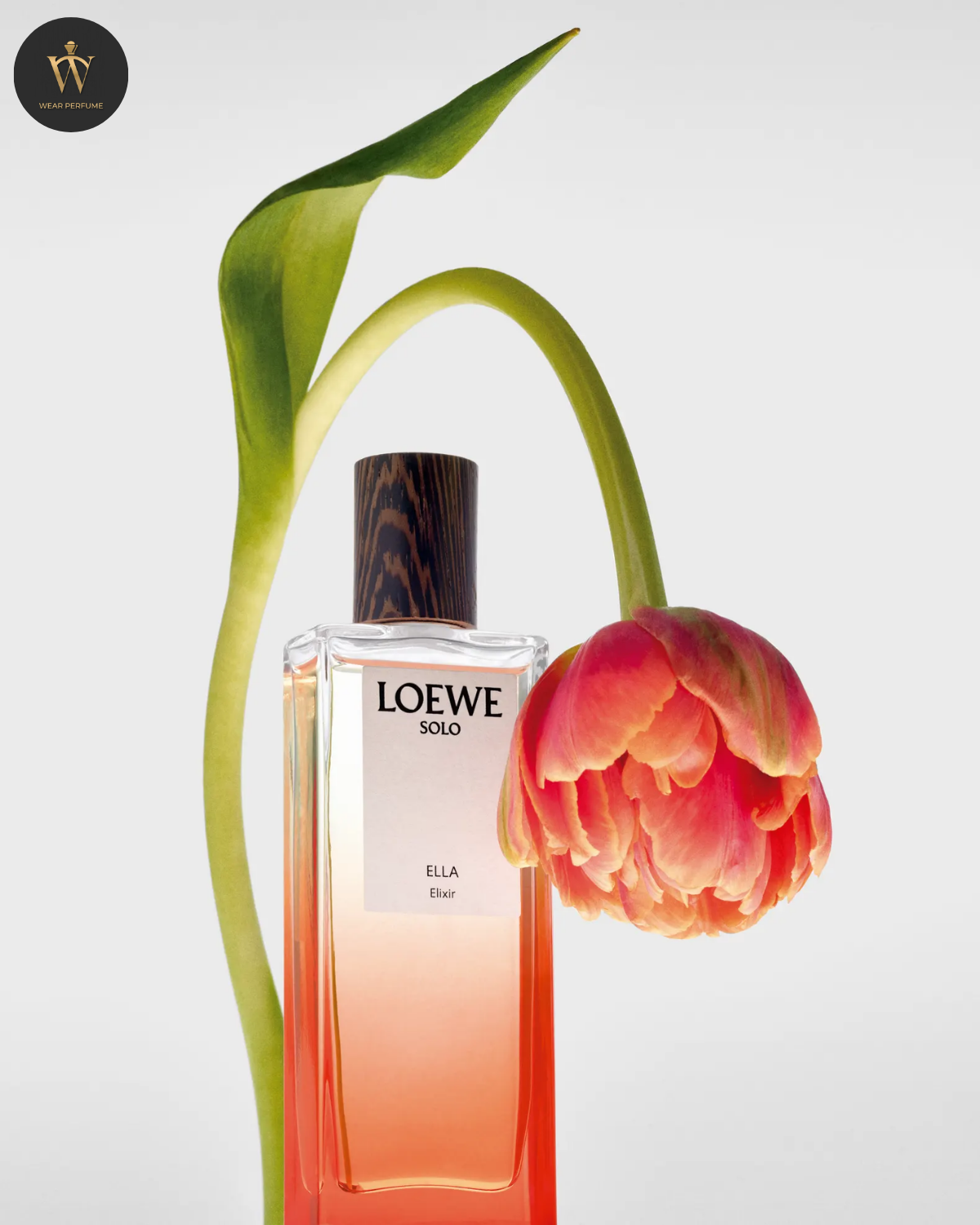  Loewe Solo Ella Elixir 