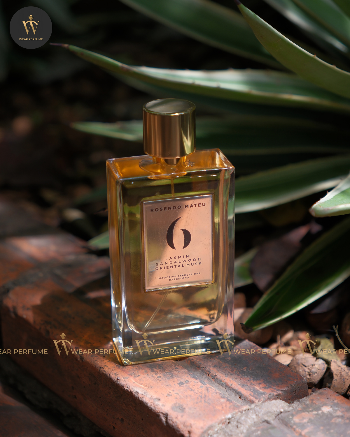  Rosendo Mateu 6 Jasmin Sandalwood Oriental Musk 