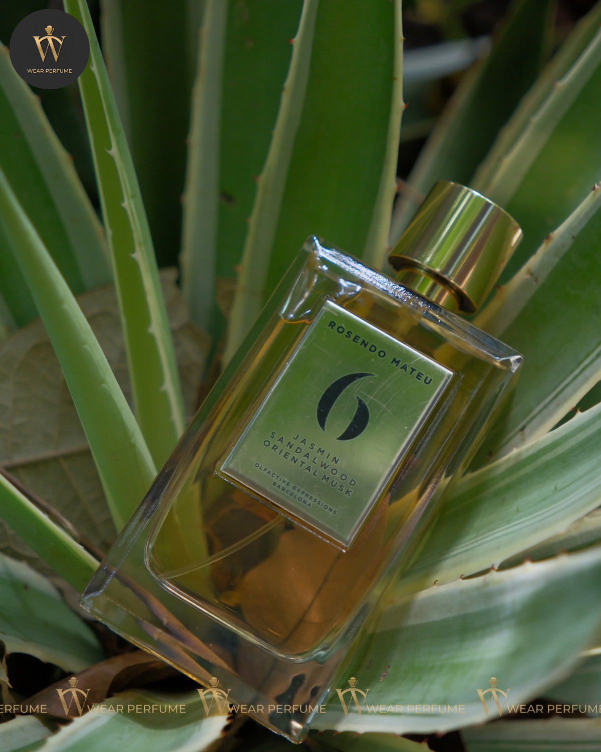  Rosendo Mateu 6 Jasmin Sandalwood Oriental Musk 