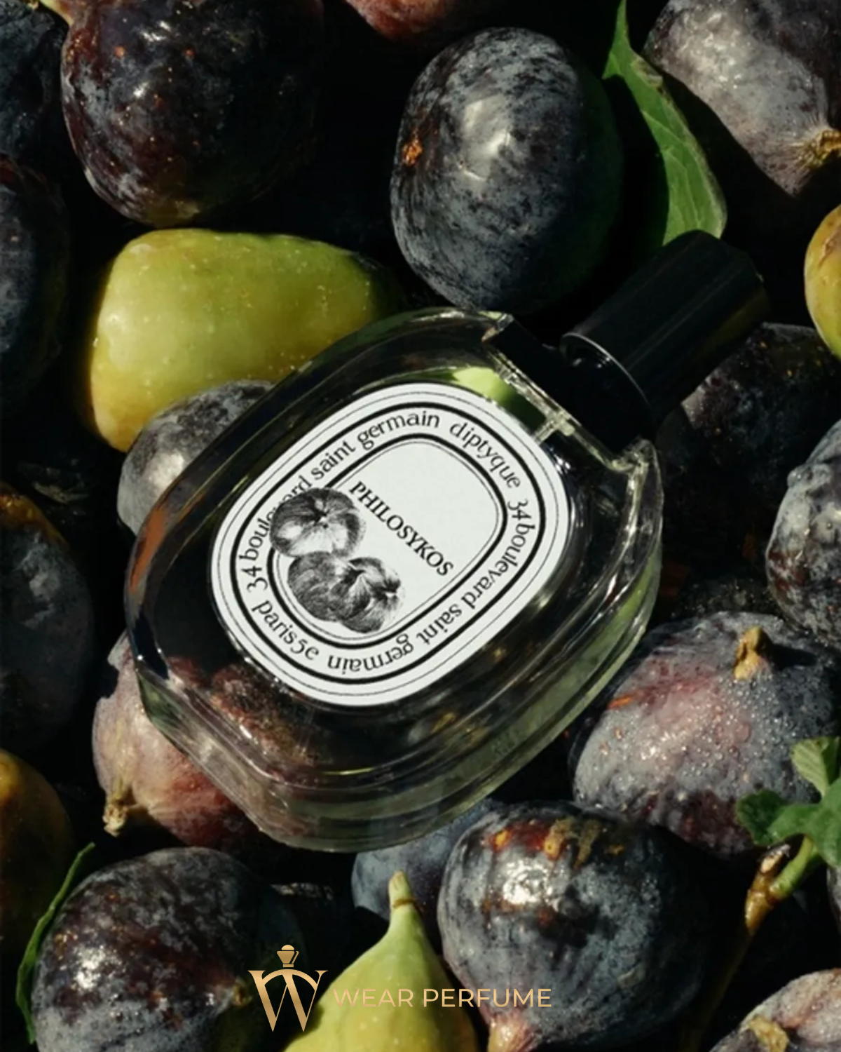  Diptyque Philosykos EDT 