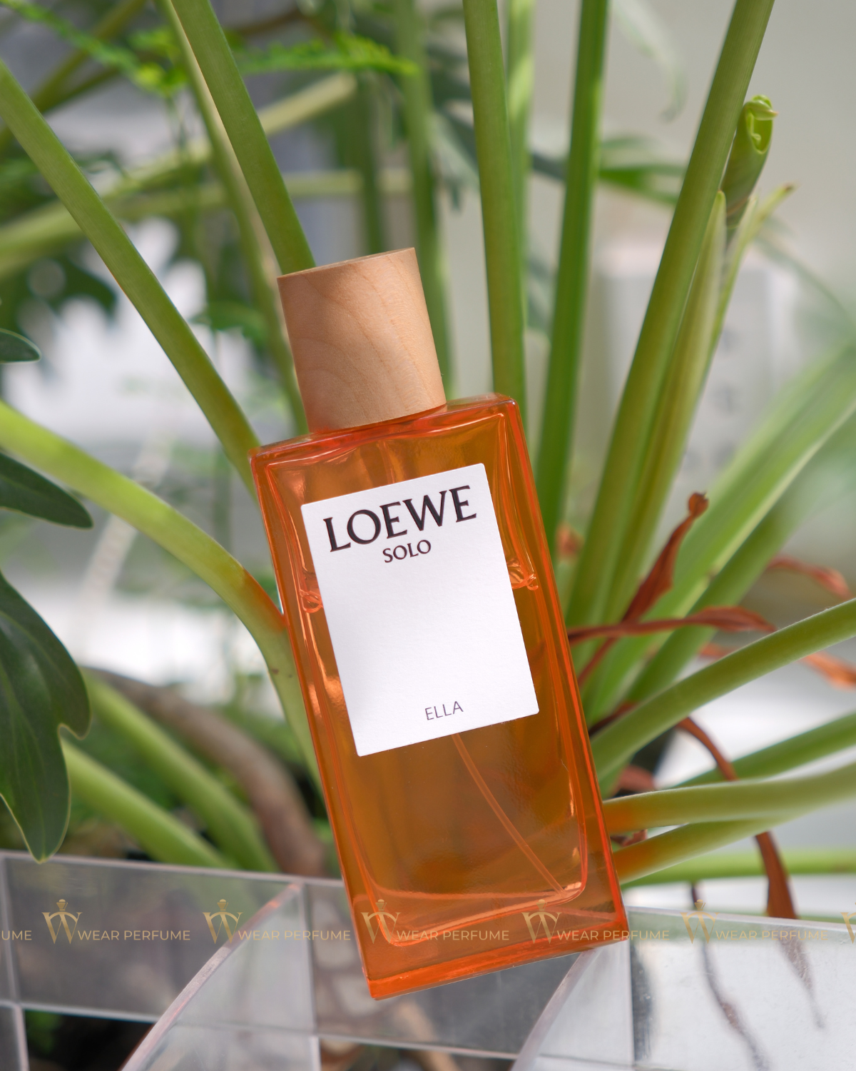  Loewe Solo Ella EDP 