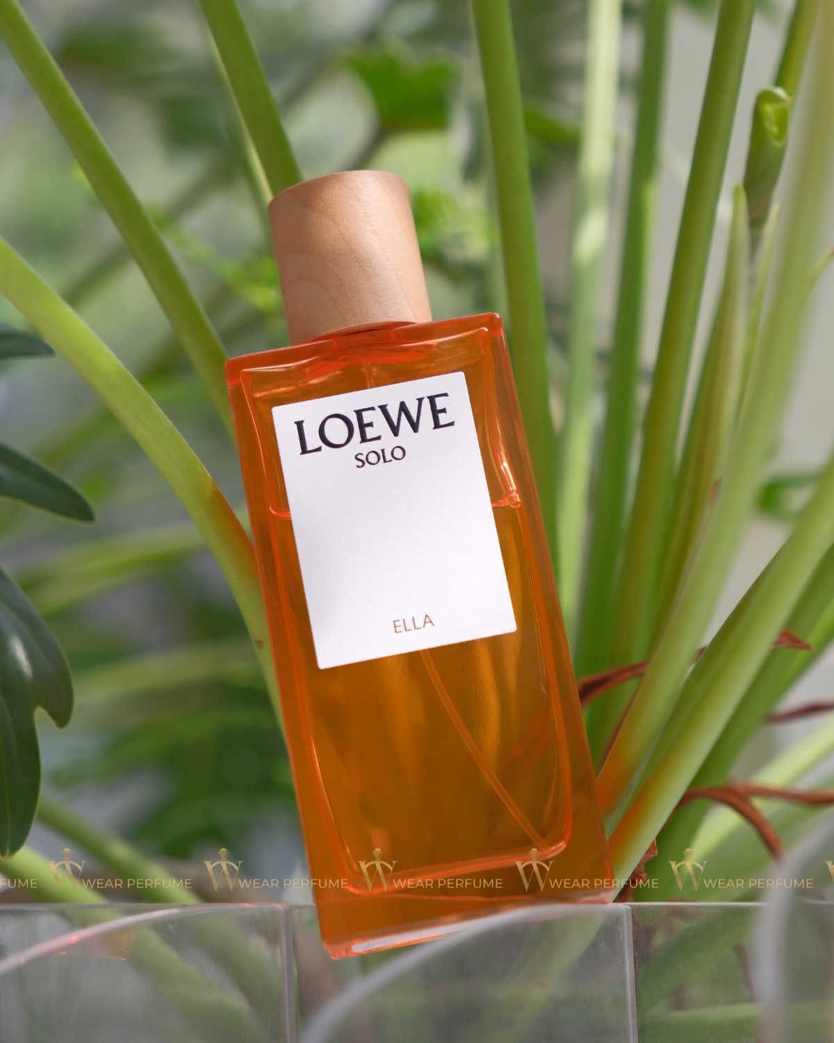  Loewe Solo Ella EDP 