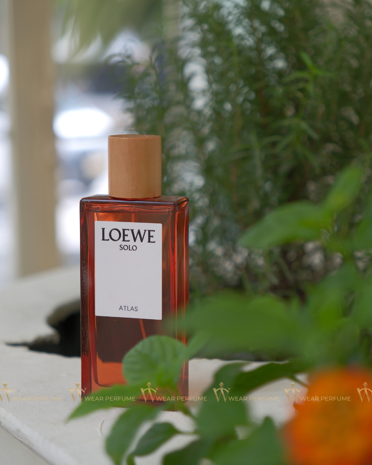  Loewe Solo Atlas EDP 